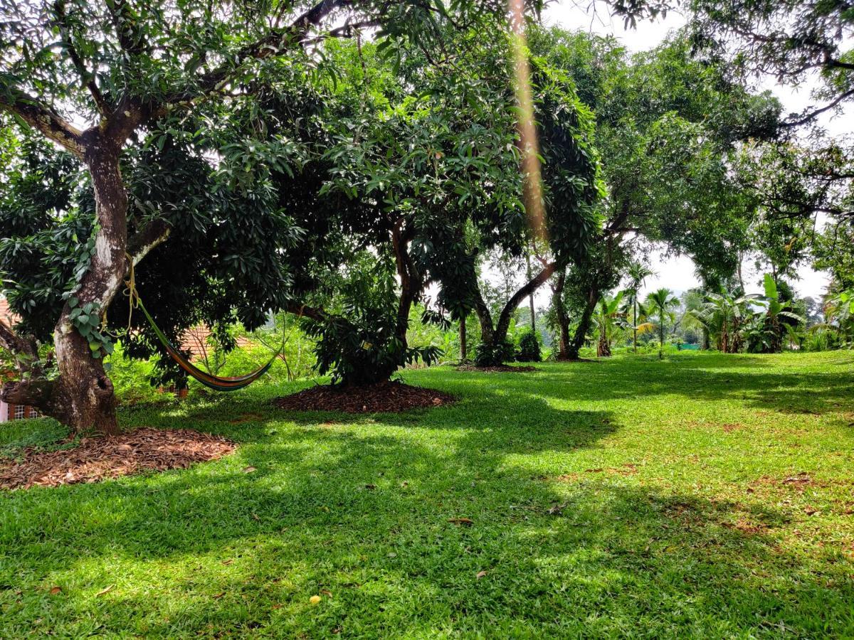 Carmel Tourism Village Kotamangalam エクステリア 写真