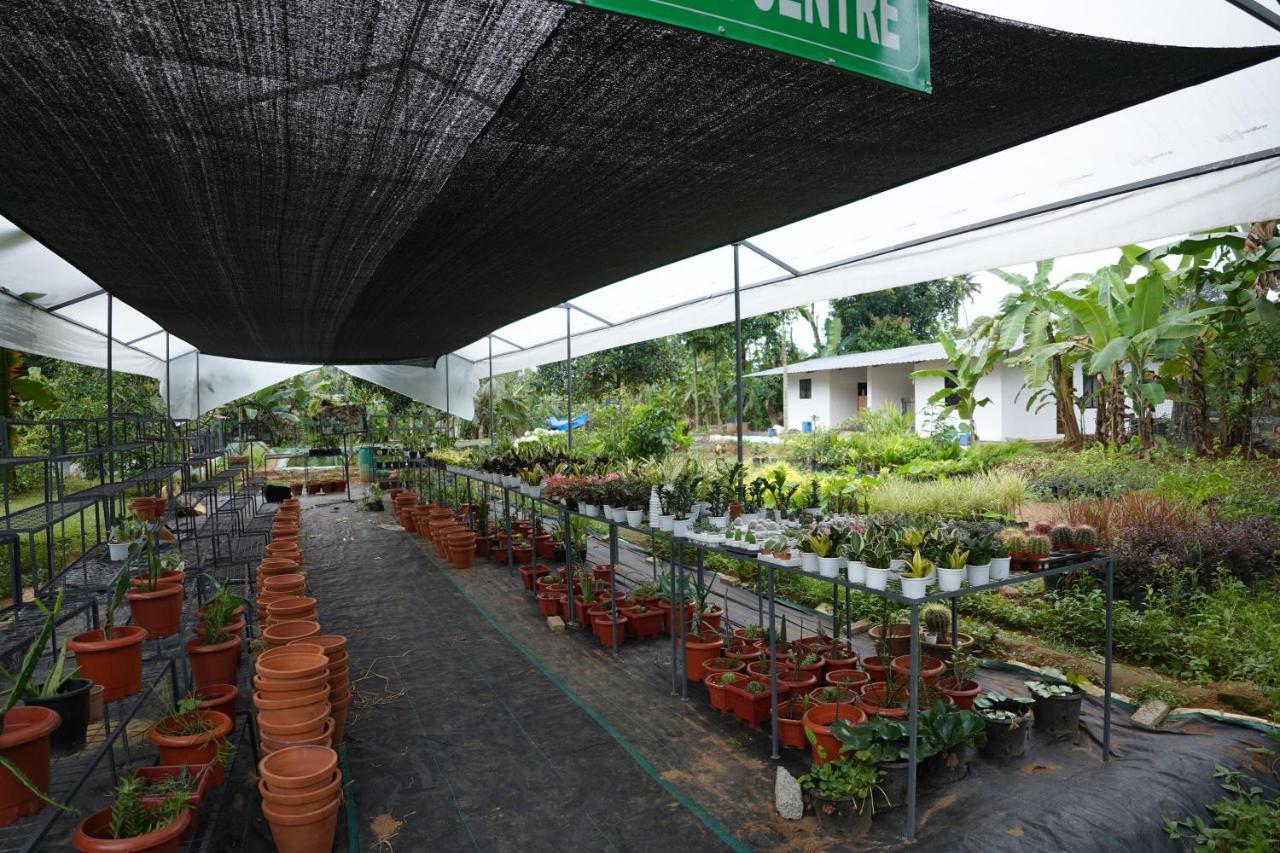 Carmel Tourism Village Kotamangalam エクステリア 写真